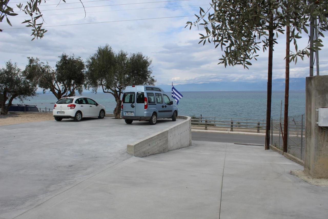 Sofotel Koroni  Luaran gambar